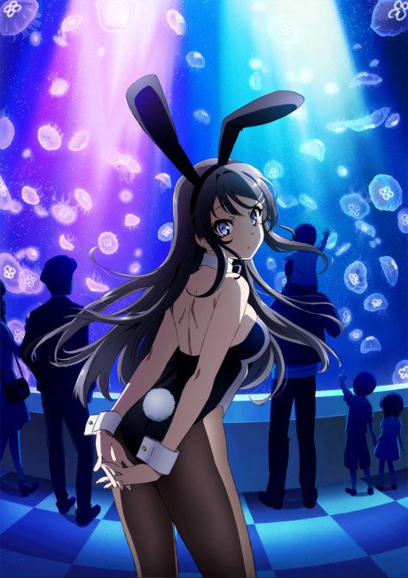 Seishun Buta Yarou wa Bunny Girl Senpai no Yume o Minai at PopRot artwork